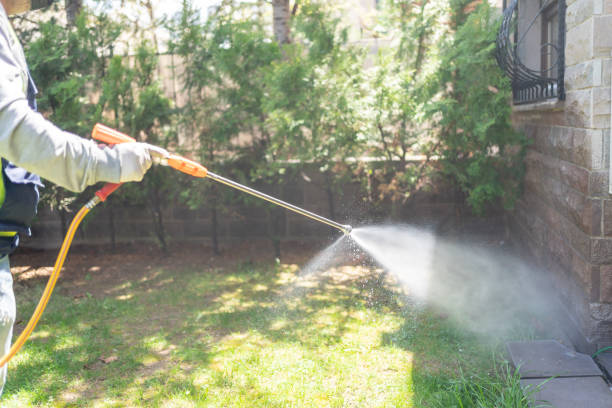 Best Pest Exclusion Services  in St Bonaventure, NY